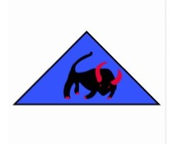 44th INDIAN ARMOURED DIVISION